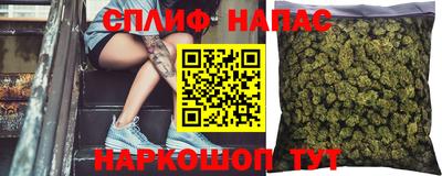 прущие грибы Шелехов