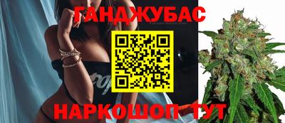 амф Шахты
