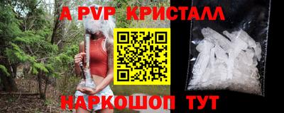 амф Шахты